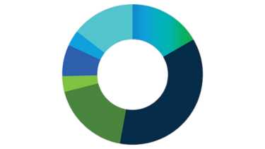 doughnut pie chart of industry type by percentage