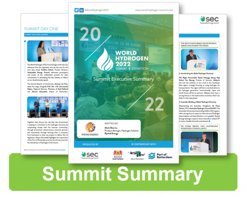 WHS2022 - Summit Exec Summary small 1